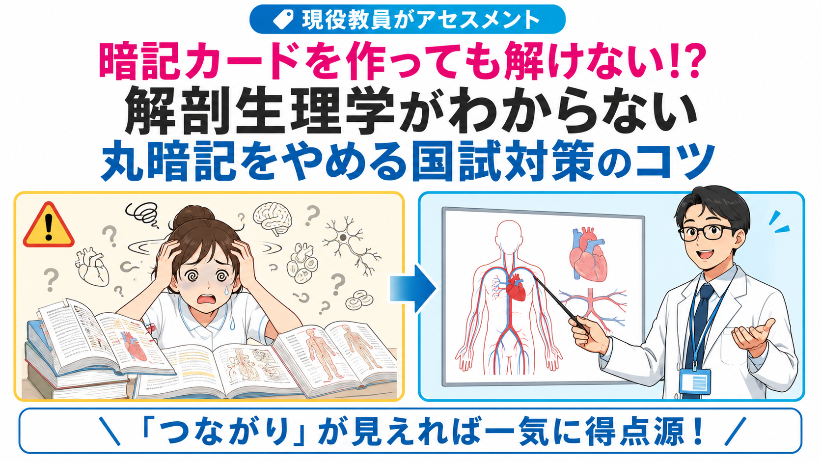 解剖生理学の暗記に苦戦する看護学生と、人体のつながりを図でわかりやすく解説する現役hiro教員。丸暗記をやめて国試対策につなげる学習法を紹介。